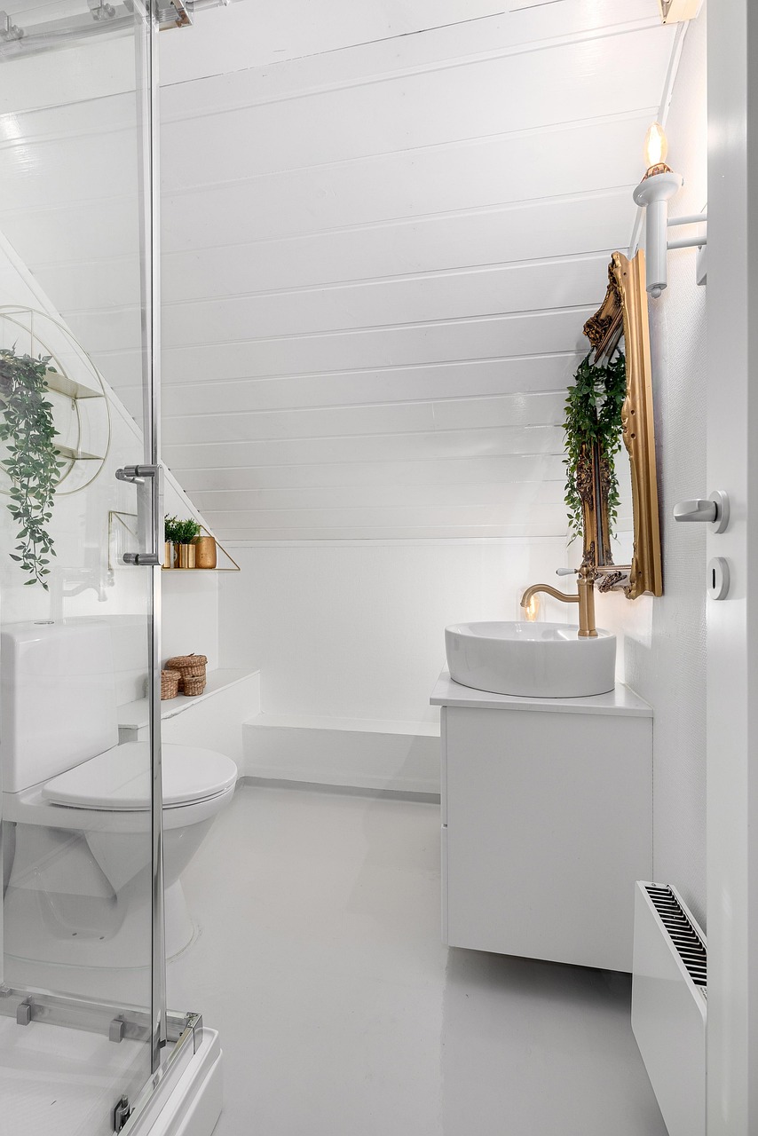 Modern bathroom vanity and shower plumbing area